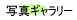 �ʐ^�M�������[